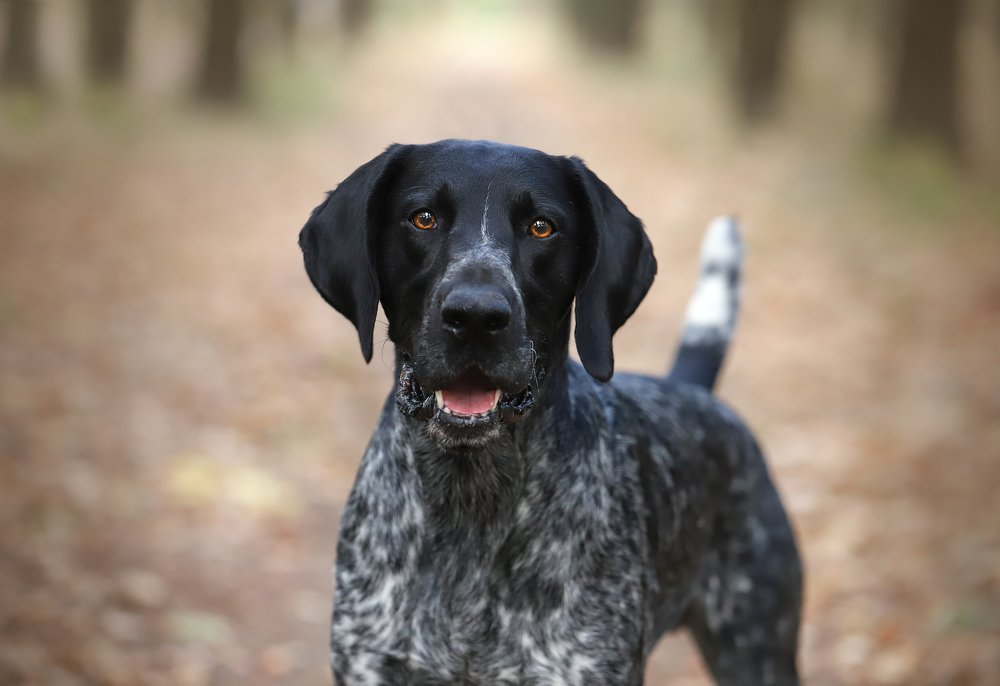 Photograph by Титаренко Ольга