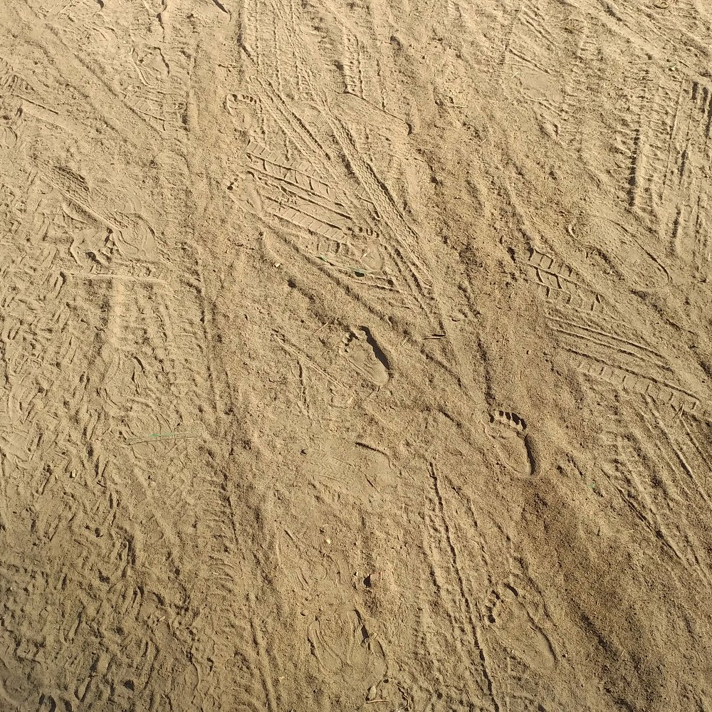 Photograph by Вероника Мищенко