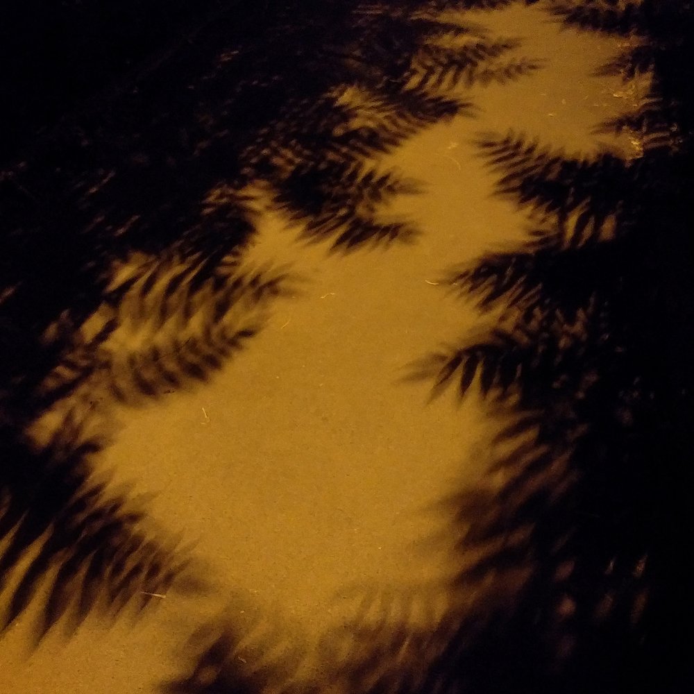 Photograph by Вероника Мищенко