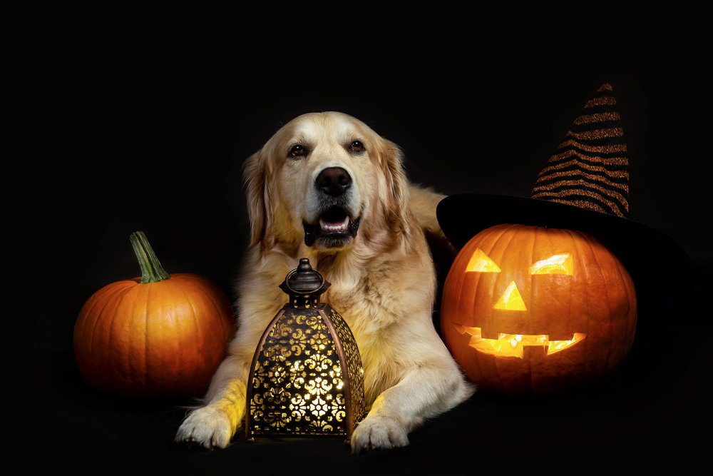 Photograph by Juris Petrovs