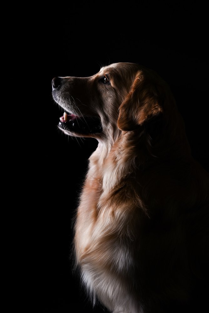 Photograph by Juris Petrovs