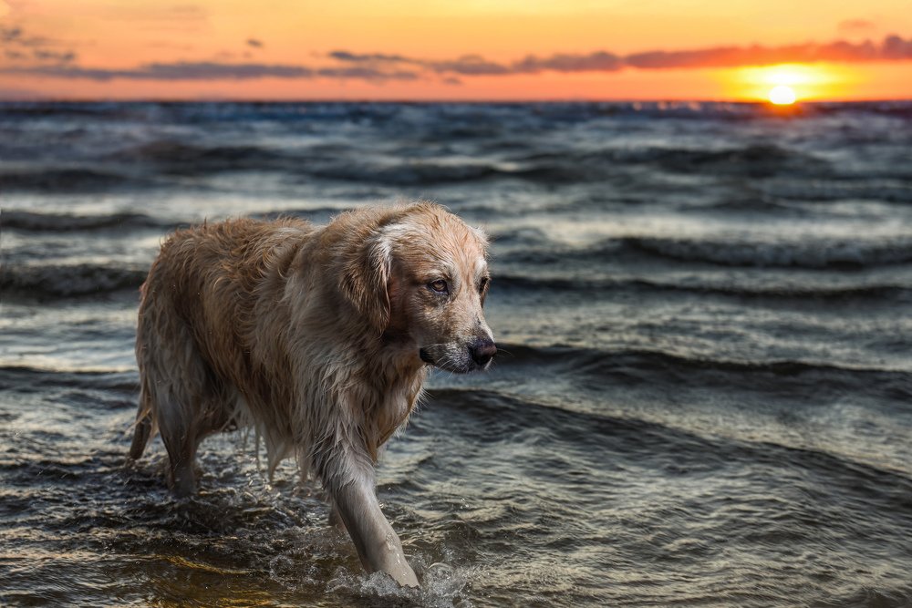 Photograph by Juris Petrovs