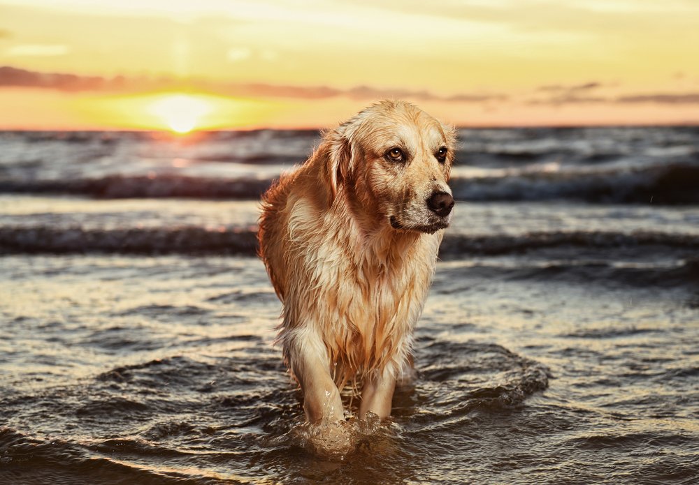 Photograph by Juris Petrovs