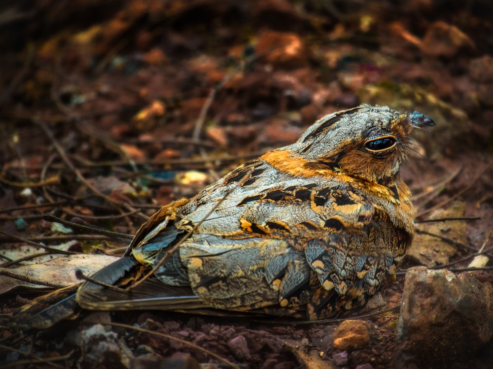 Photograph by Kirkamon Cabello