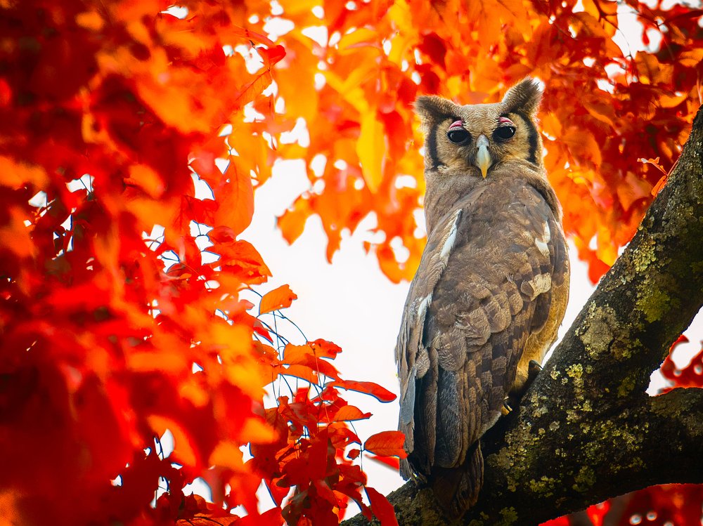 Photograph by Kirkamon Cabello