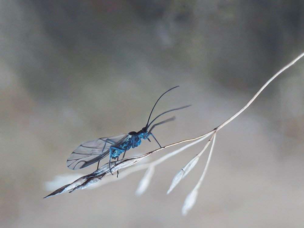 Photograph by Tatyana Belova