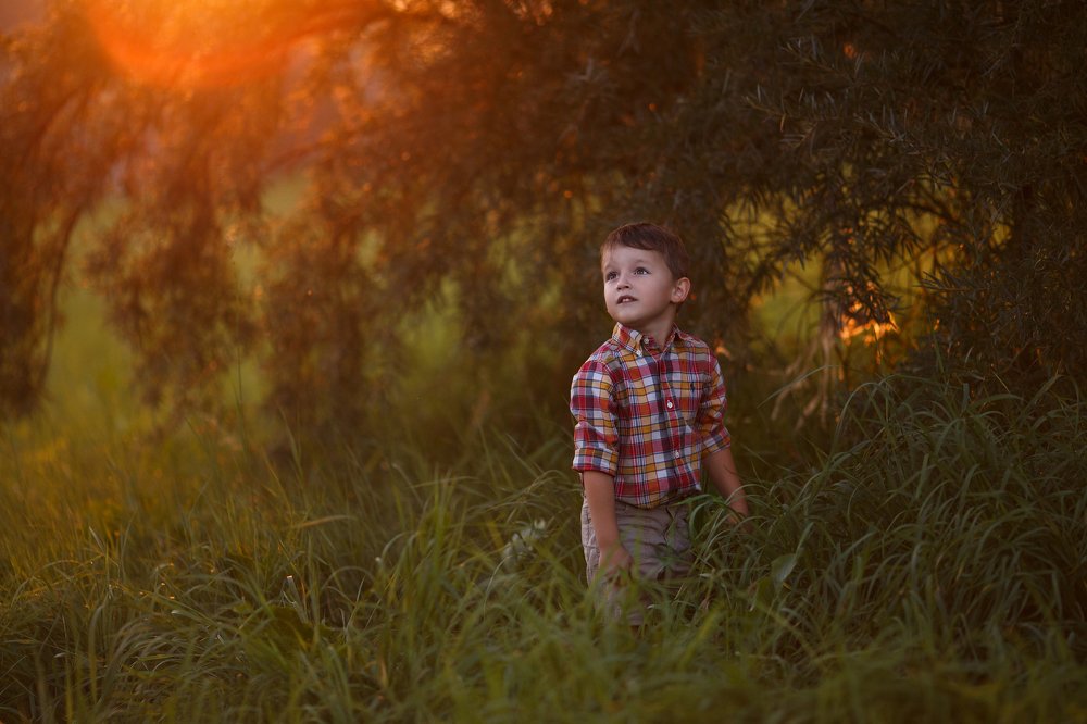 Photograph by Марьяна Соколюк