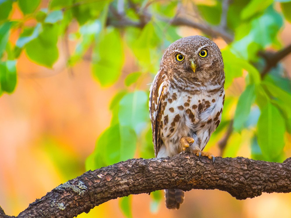 Photograph by Kirkamon Cabello