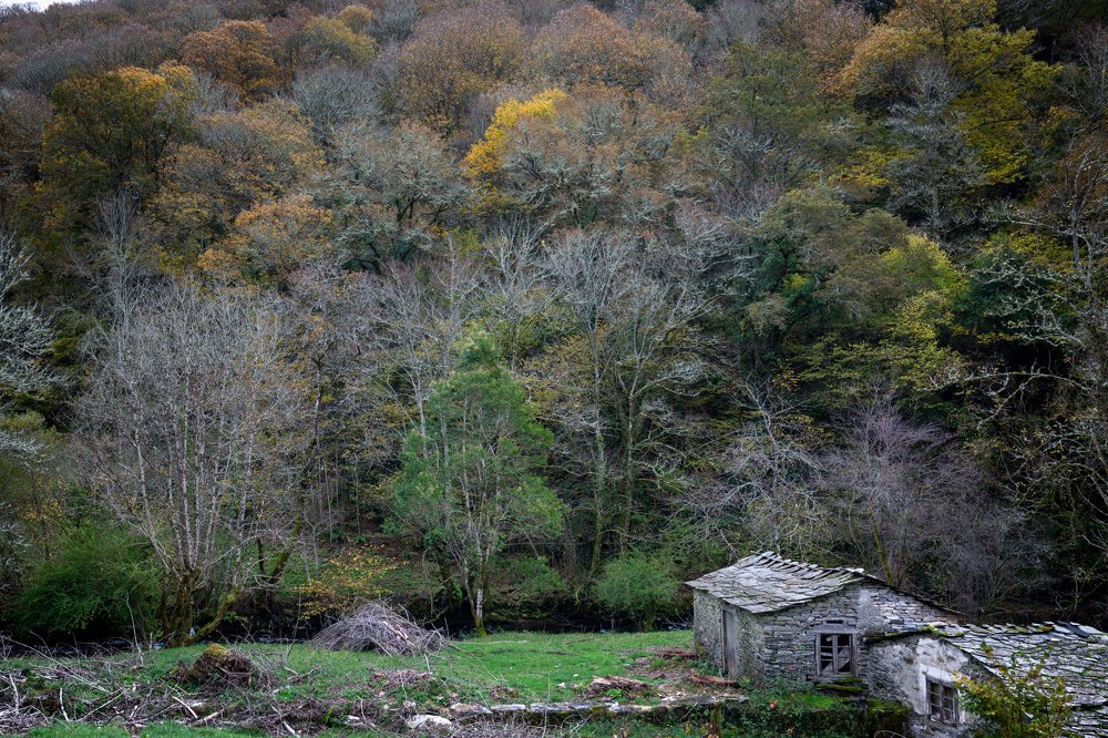 Photograph by Hilario Perez Vazquez