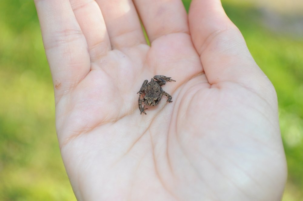 Photograph by Дмитрий Шарый