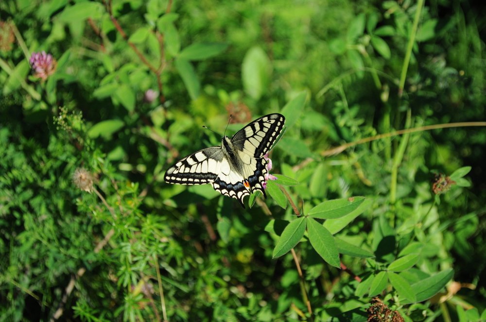 Photograph by Дмитрий Шарый