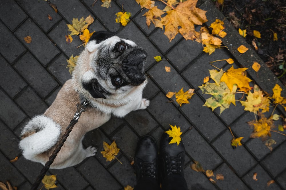 Photograph by Екатерина