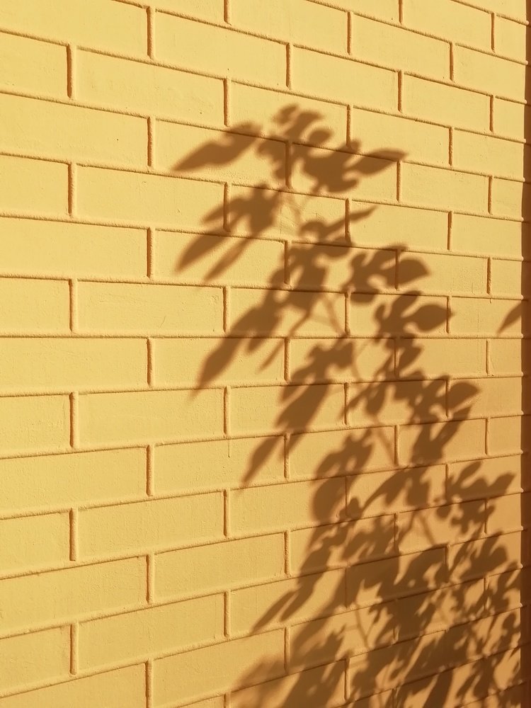 Photograph by Ірина Дрок