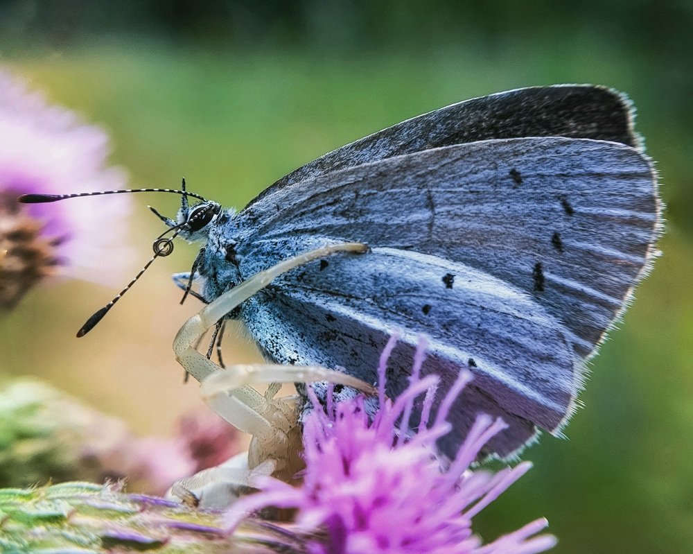 Photograph by Лариса Когтева