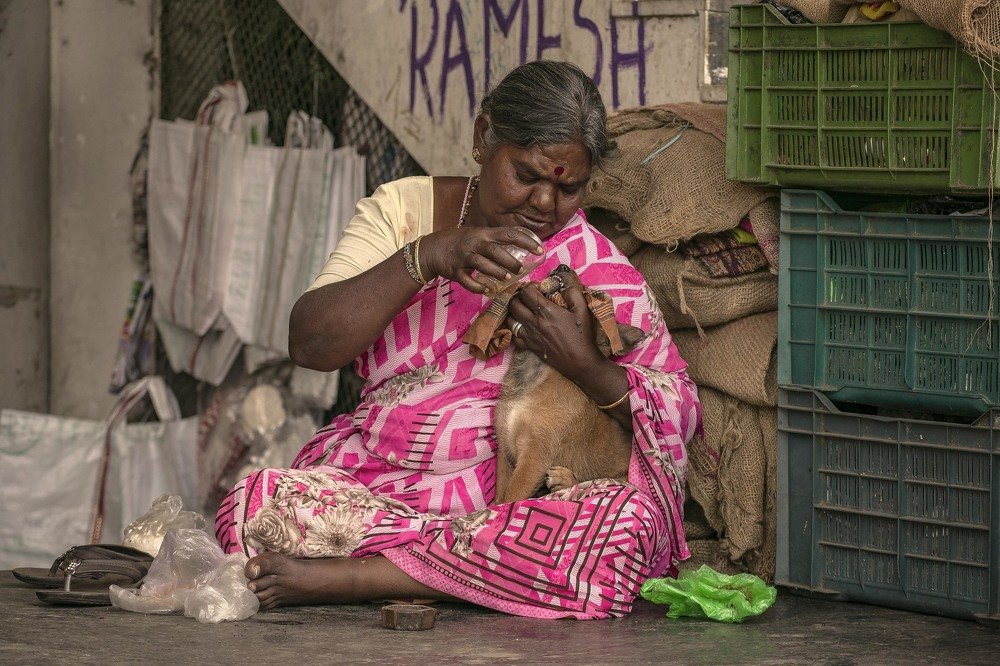 Photograph by Prabhanjana Prasanna