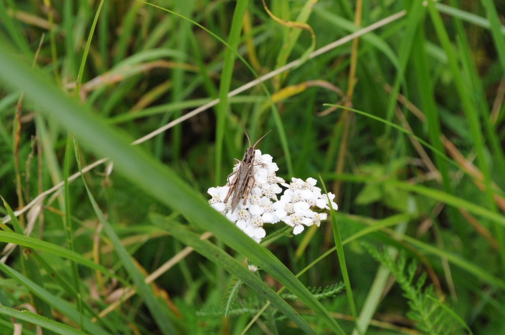 Photograph by Дмитрий Шарый