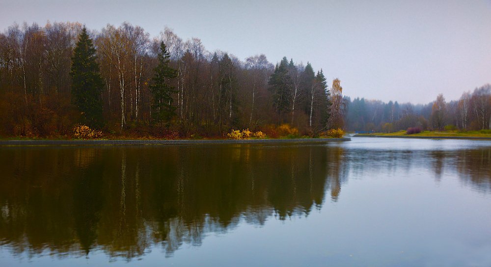 Осенний пруд