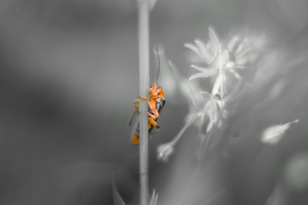 Photograph by Дмитрий Малышев