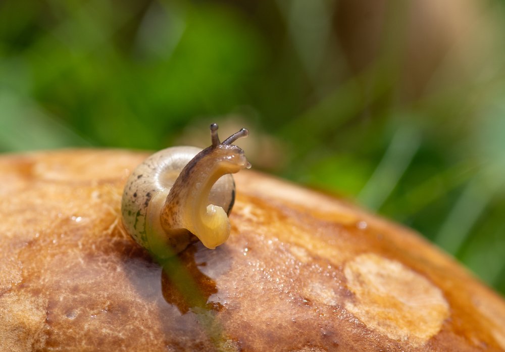 Photograph by Галина Михоношина