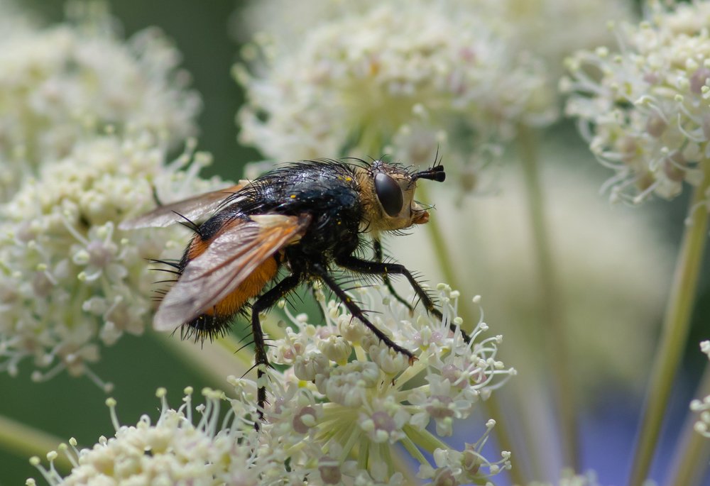 Photograph by Галина Михоношина