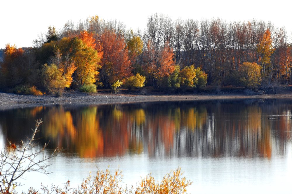 Photograph by Татьяна Дорожко