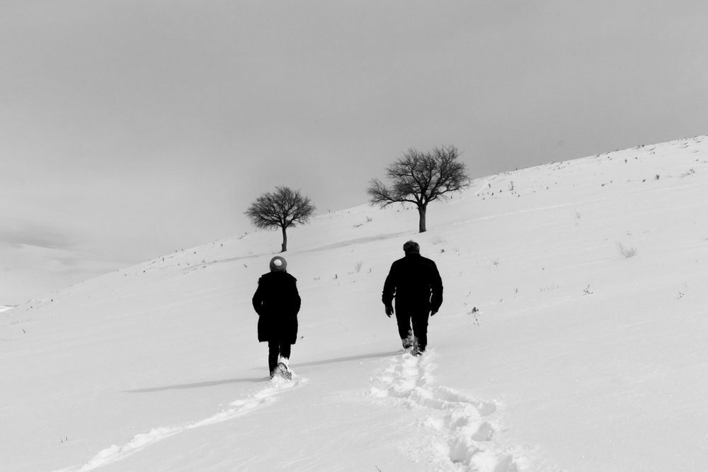 Фотография автора Fateme Jamali