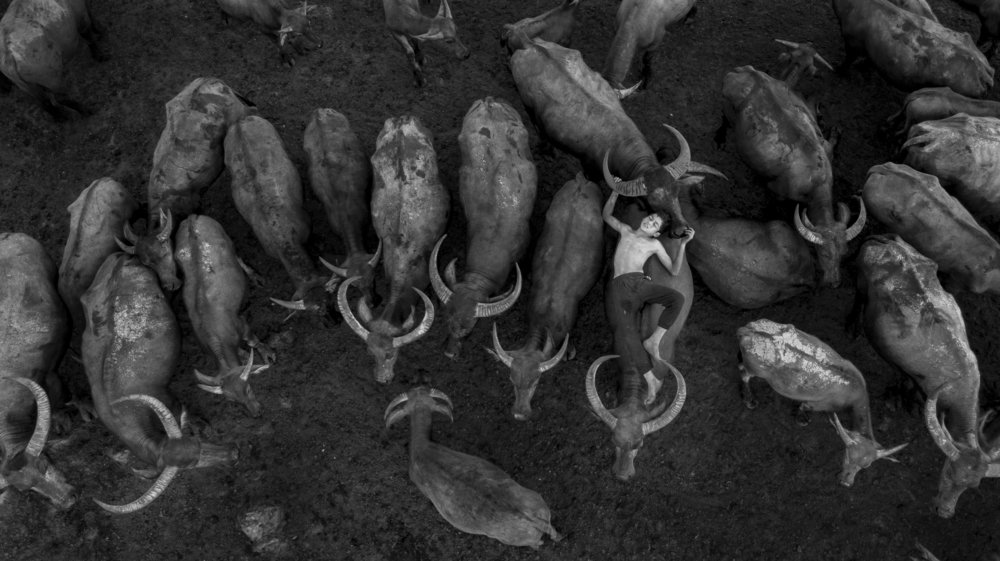 Mowgli Malaysia The Kampung Boy