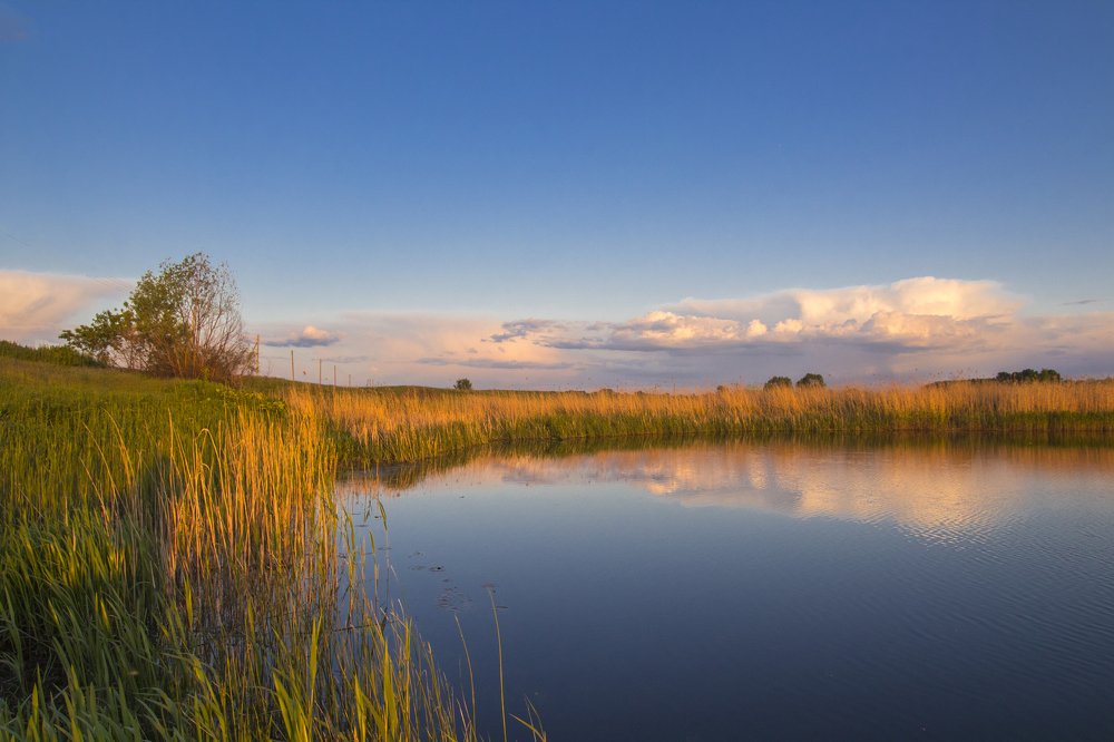 Photograph by Дмитрий Тимин