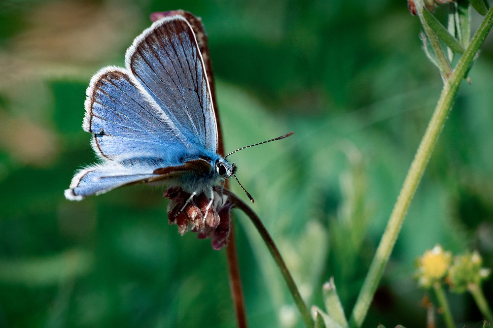 Photograph by Лапенкова Ольга