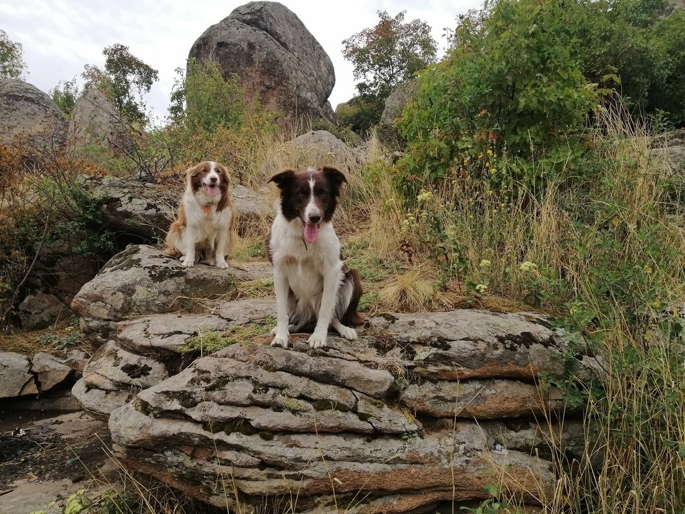 Photograph by Дмитрий Фомин