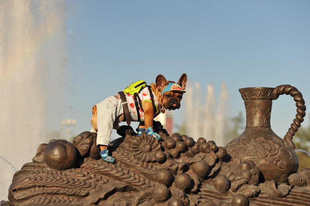 Photograph by Евгения Тимощенко