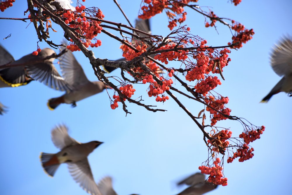 Photograph by Татьяна Дорожко