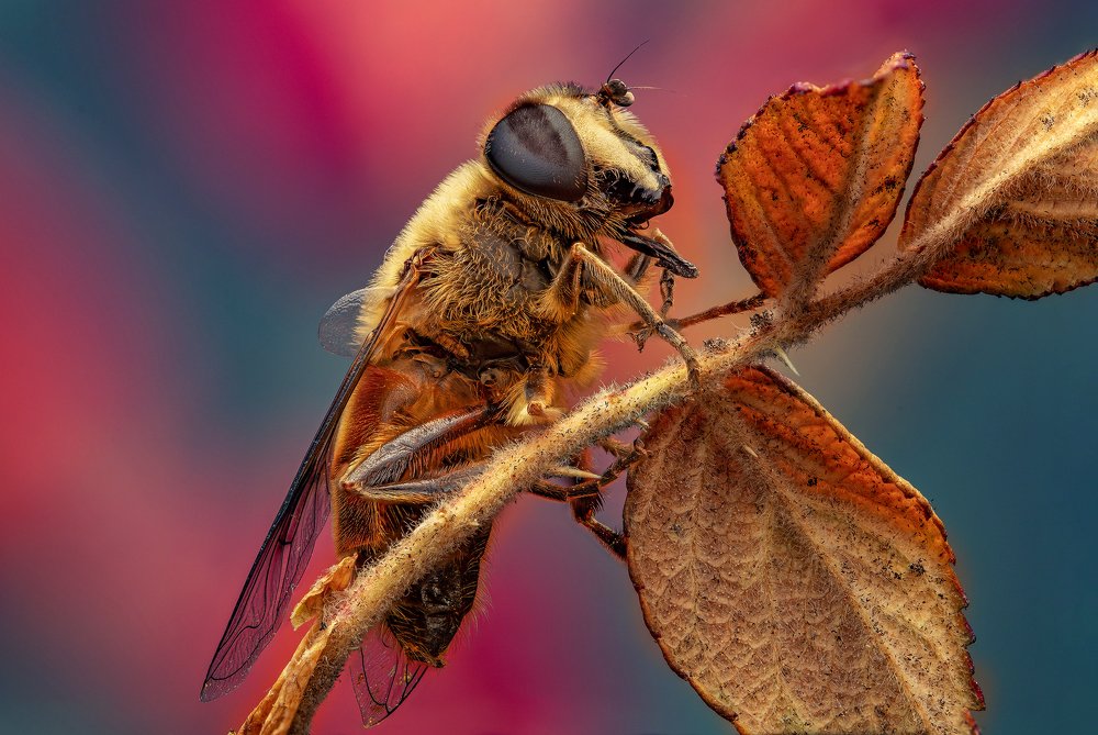 Photograph by Иван Радьков