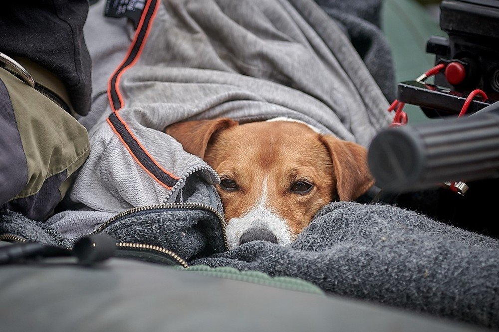 Photograph by Александр Антонов