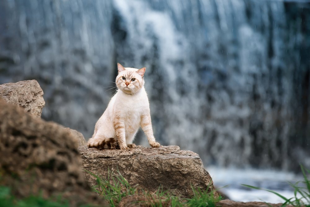 Photograph by Светлана Федоренко