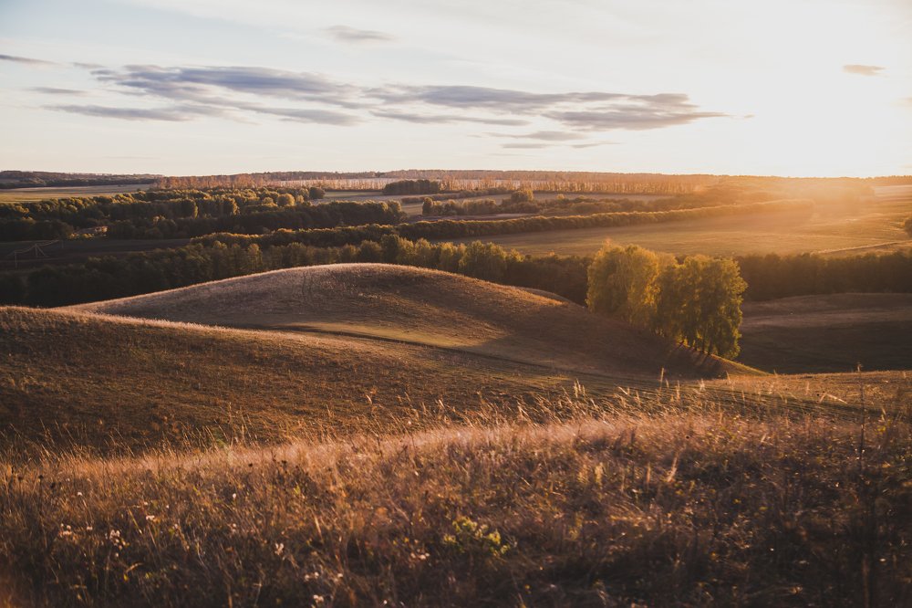 Photograph by Артем Никитин