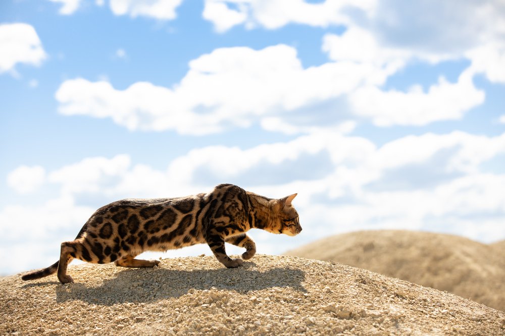 Photograph by Светлана Федоренко