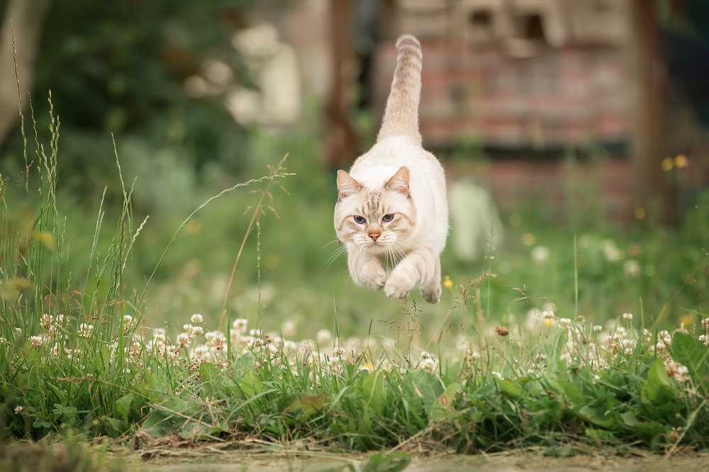 Photograph by Светлана Федоренко