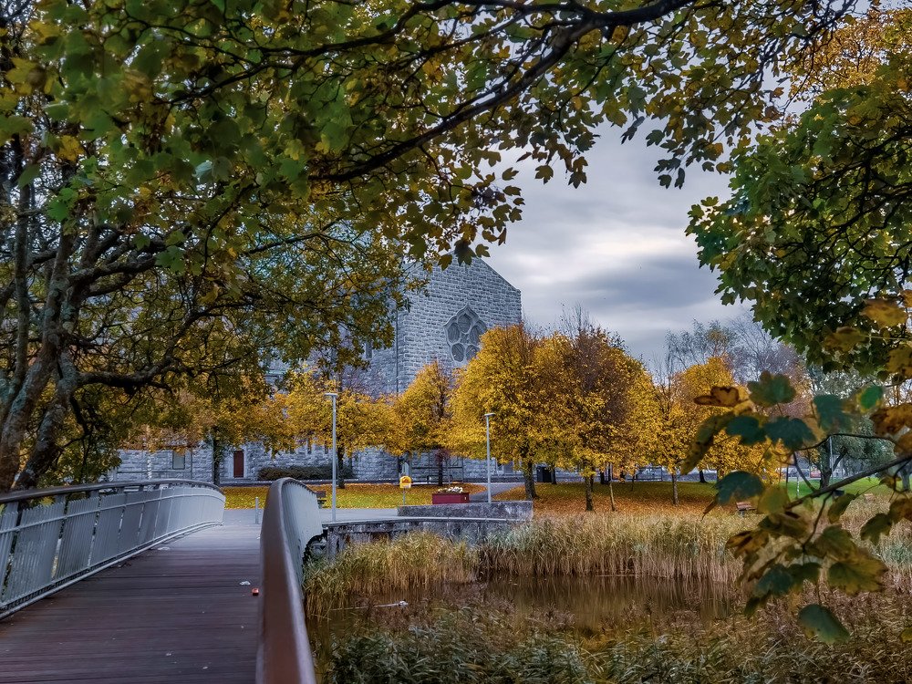 Autumn Vibes at Nun's Island