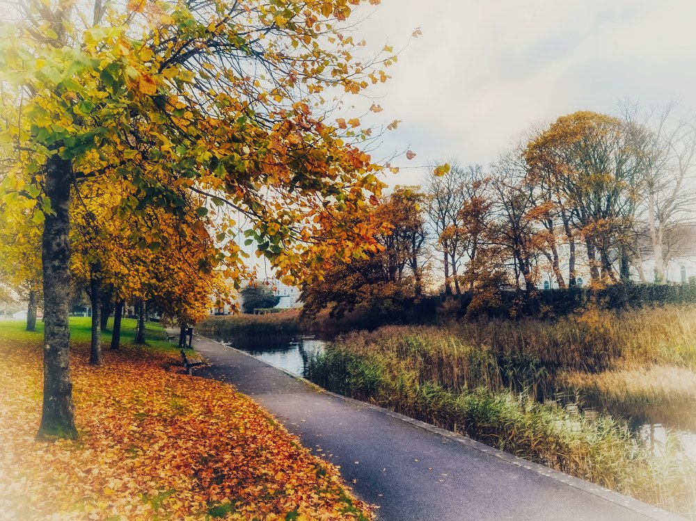 Autumn Vibes along Galway City Canal