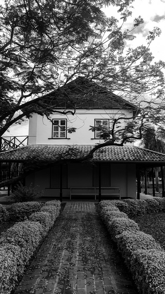 Photograph by Madeley Barreto