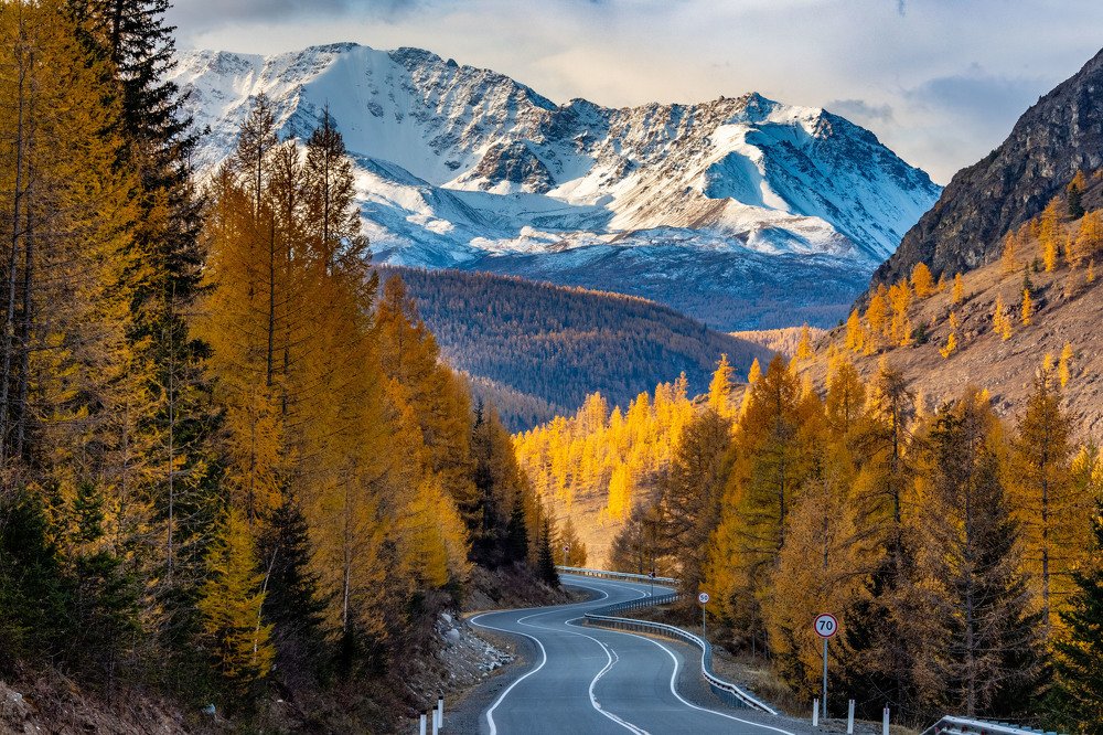 Осенними дорогами