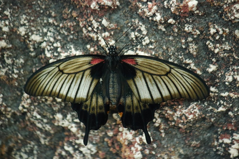 Photograph by Oleg Guchgeldiyev