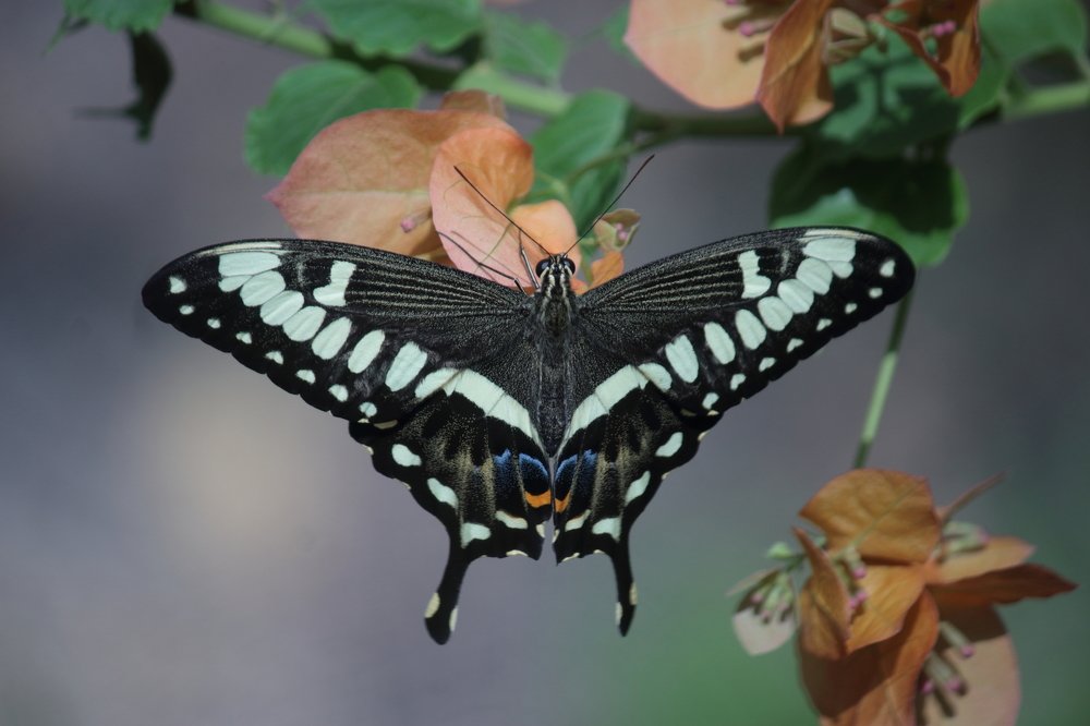 Photograph by Oleg Guchgeldiyev