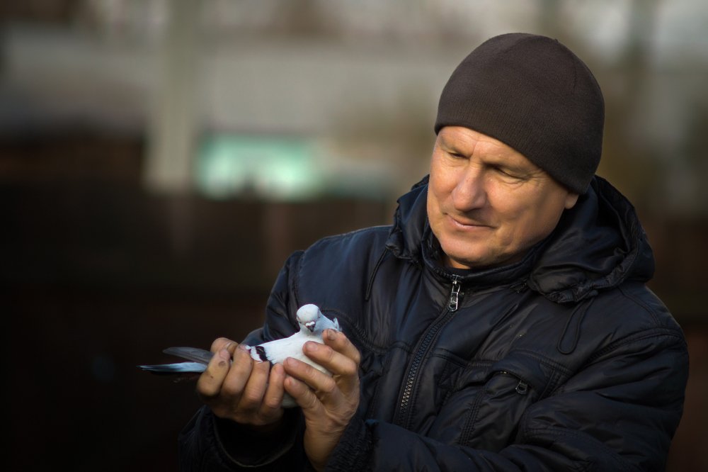 Голубятник из СССР