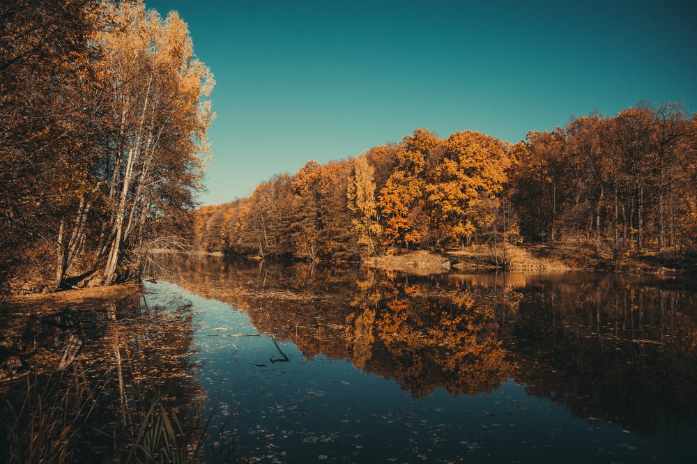 Photograph by Алексей Тихонов