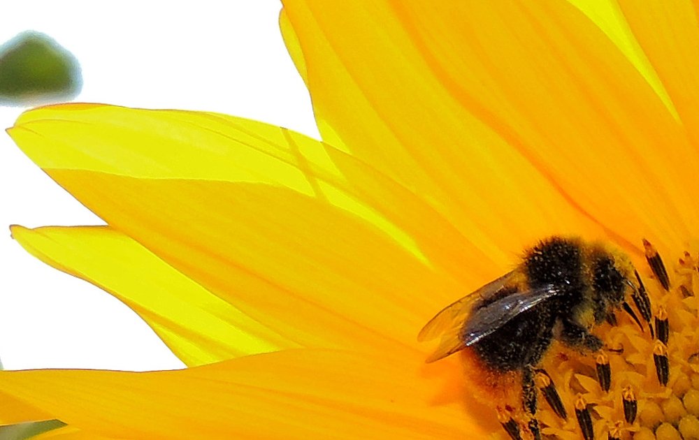 Photograph by Павел Кулинич