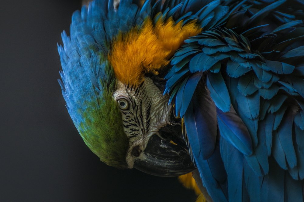 Photograph by Dejan Mržljak