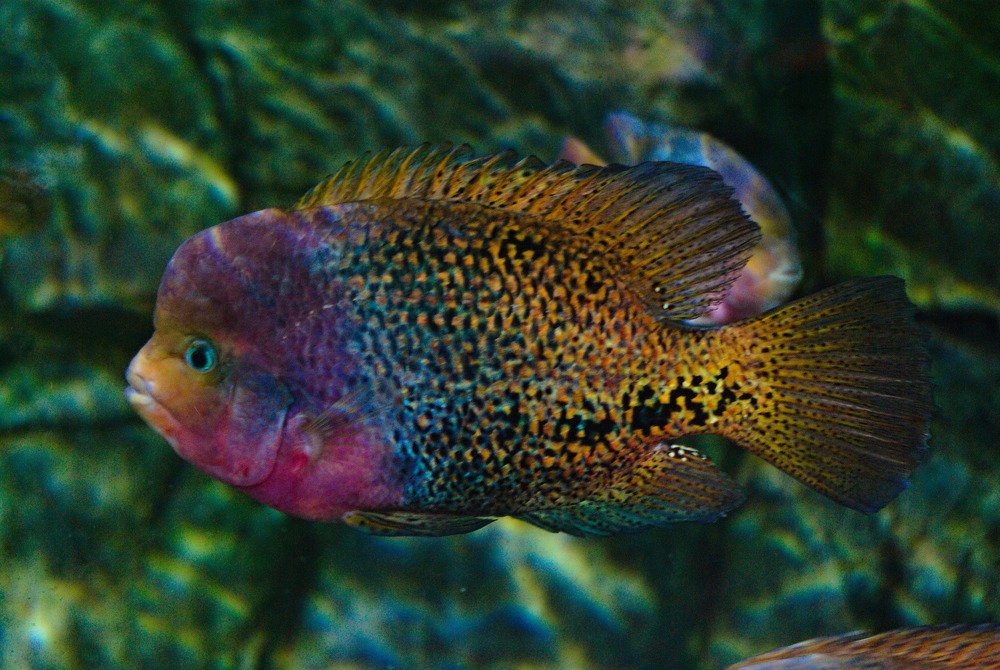 Photograph by Андрей Лебедев