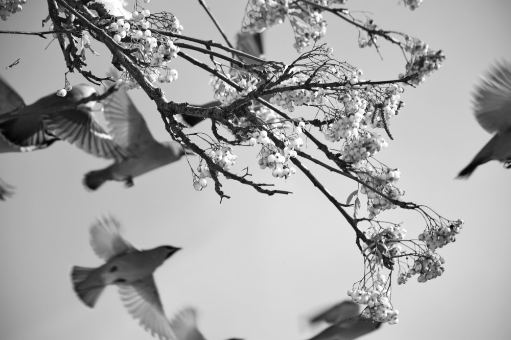 Photograph by Татьяна Дорожко